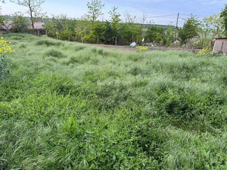 Casa  (30 min de Bucuresti) în Tamadau (lângă lacul Mostistea) cu teren 850 m - 6