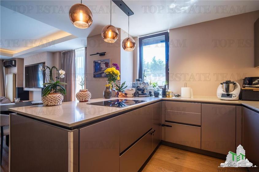 Penthouse 4 camere cu terasa de vanzare in zona Herastrau - 9