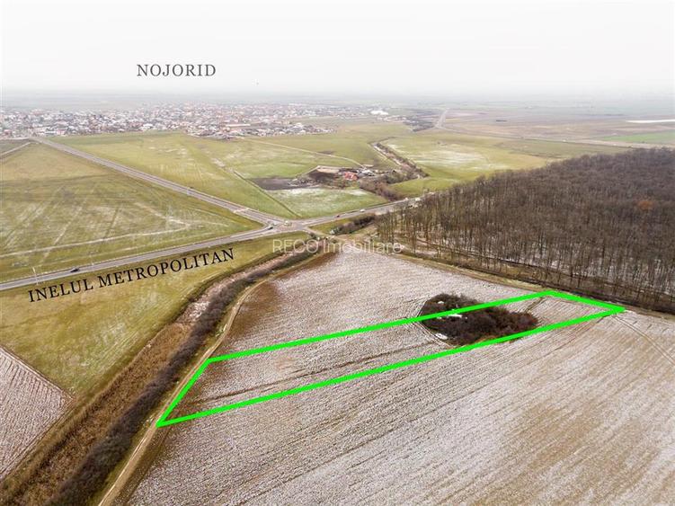RECO Teren extravilan Nojorid langa Inelul Metropolitan - 3