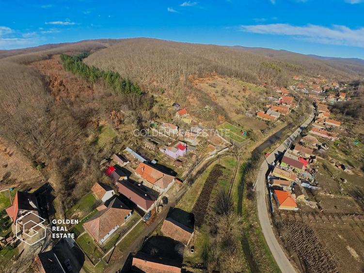 Proprietate pretabila pentru afacere, Cladova - 35