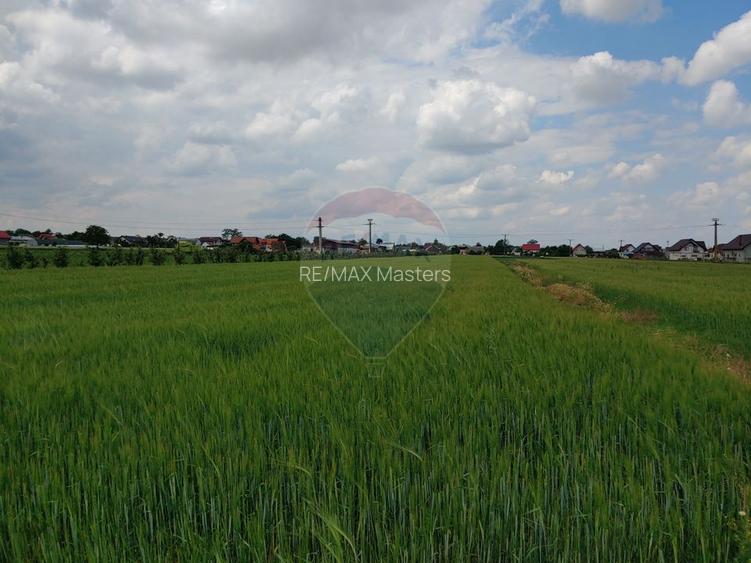 Teren intravilan 6,600mp Dumbraveni / Strada Principala spre Veresti - 6