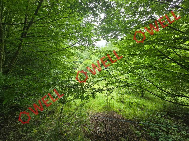 De vânzare teren extravilan loc. Sărămaș - 4