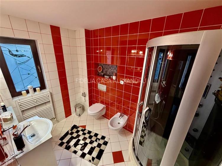 Casa vile de vânzare Buciuim-iasi - 23