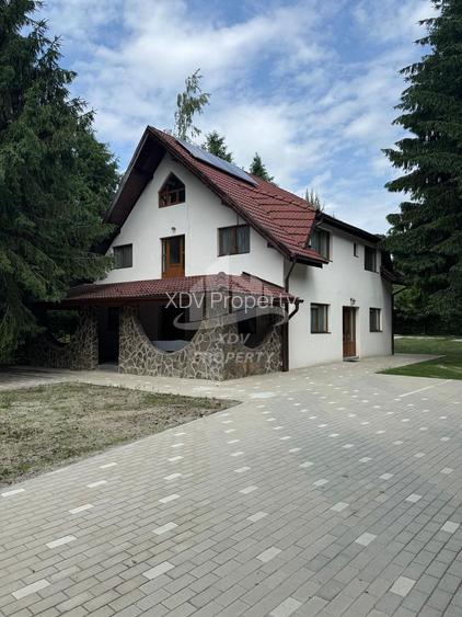 Pensiune/ Vila Valea Avrigului - 3