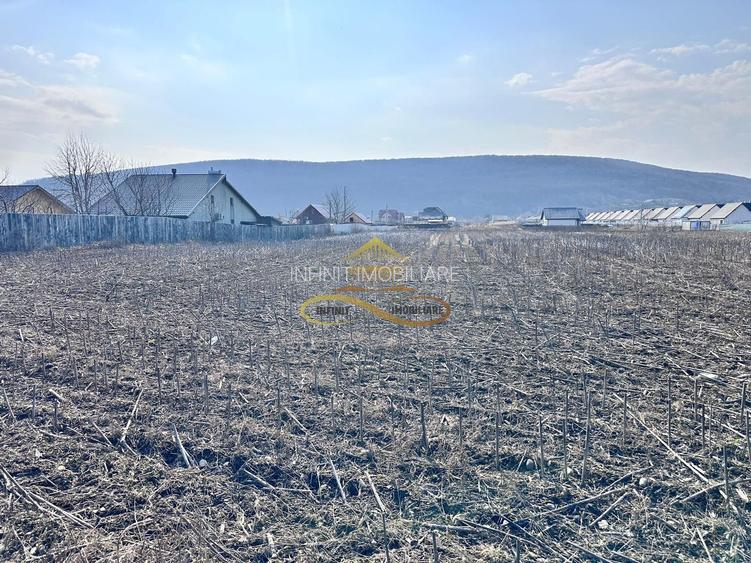 De vanzare teren intravilan Hemeius Bacau - 2