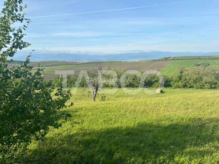 Teren de vanzare intravilan 8900mp Sura Mare zona deosebita - 5