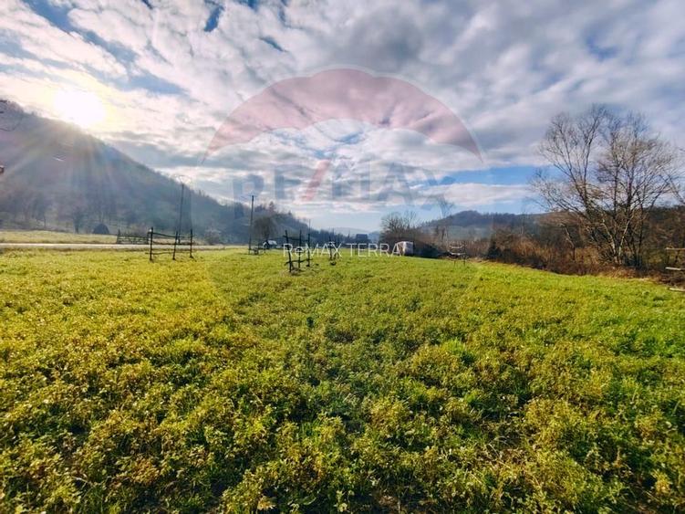 COMISION 0%  Teren intravilan de vanzare in Barsana (26 ARI) - 6