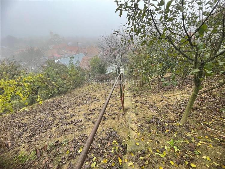 Casa individuala cu 6 camere si 3 bai si 1413 mp teren in Blaj - 6
