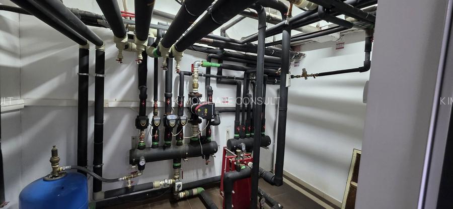 Piata 1 Mai spatiu demisol 475 mp - 19