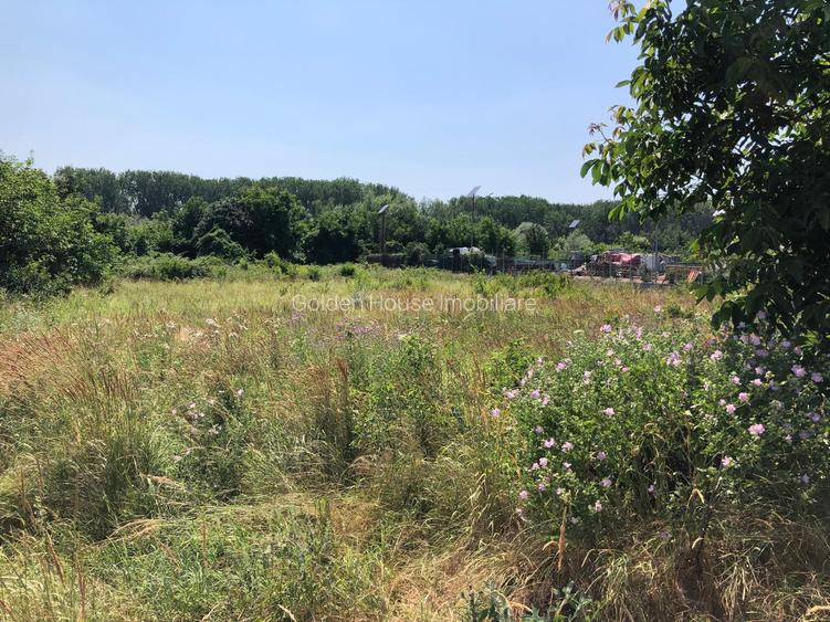 Teren Intravilan 2850 mp - zona Strada Digului - Vivo Mall/Petrom - 7