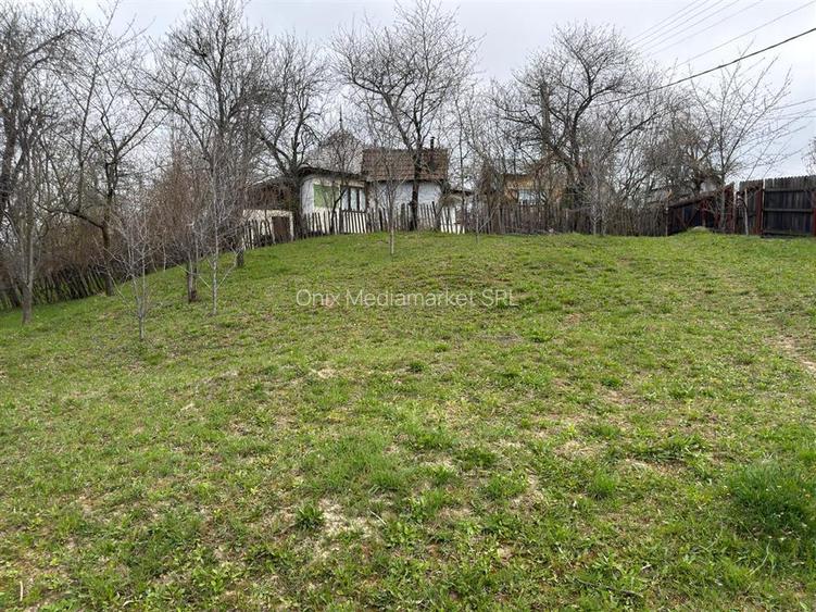 Teren intravilan 1518 mp, constructie, Sotrile, Prahova - 24 EUR/mp - 6