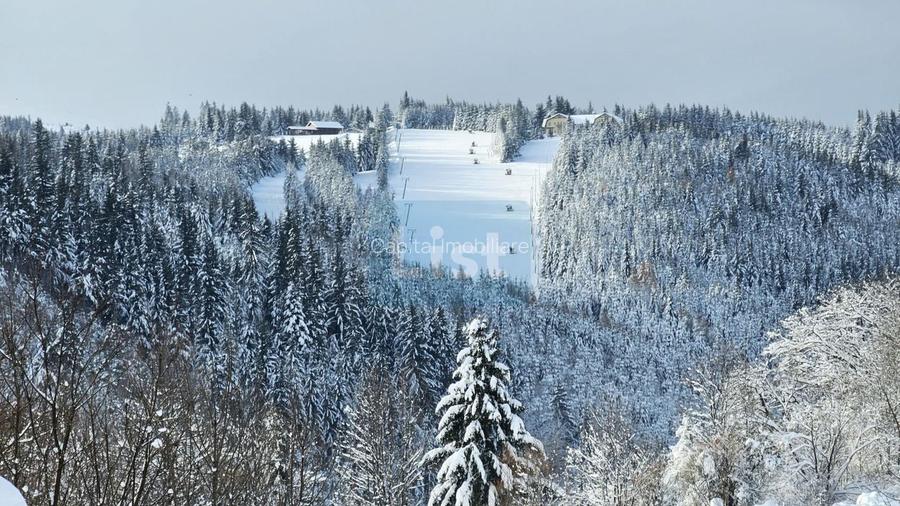 Pensiune la Cheie cu Vedere Panoramică Toplița - 19