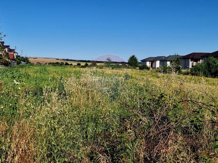 Teren intravilan Piatra Neamt - 16