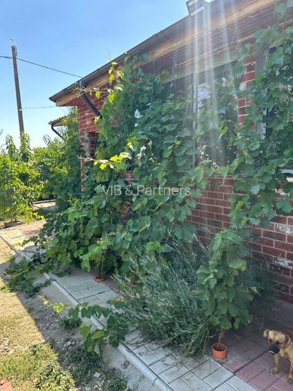 Vanzare Vila Rustica, Suprafata Generoasa, Frumusani - 5