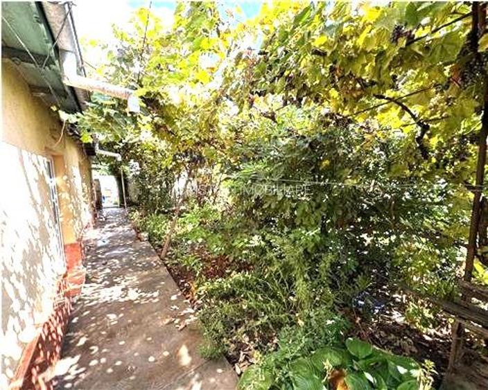 Casa 4 cam,Radu Negru - Buzaului, 512 mp teren, toate utilitatile - 8