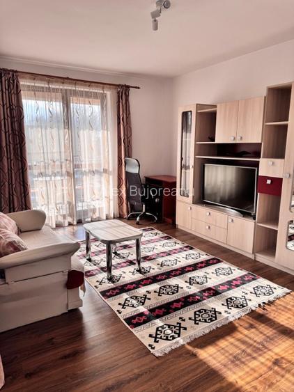 Direct proprietar. Pet friendly. Prima închiriere - 6