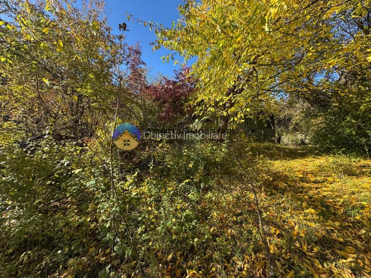 Teren intravilan de vanzare – Piatra Neamt - 9