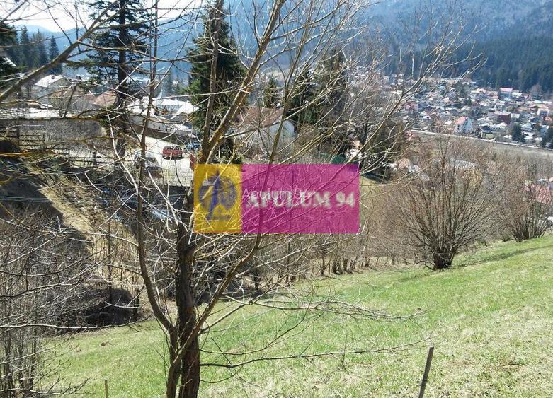 Teren de vânzare în Bușteni - Zona Zamora - 19