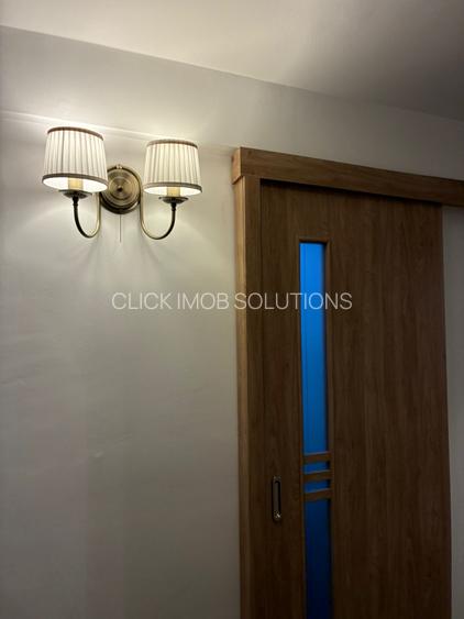 Decebal -Rond Alba Iulia -contract ANAF-pet friedly - 25