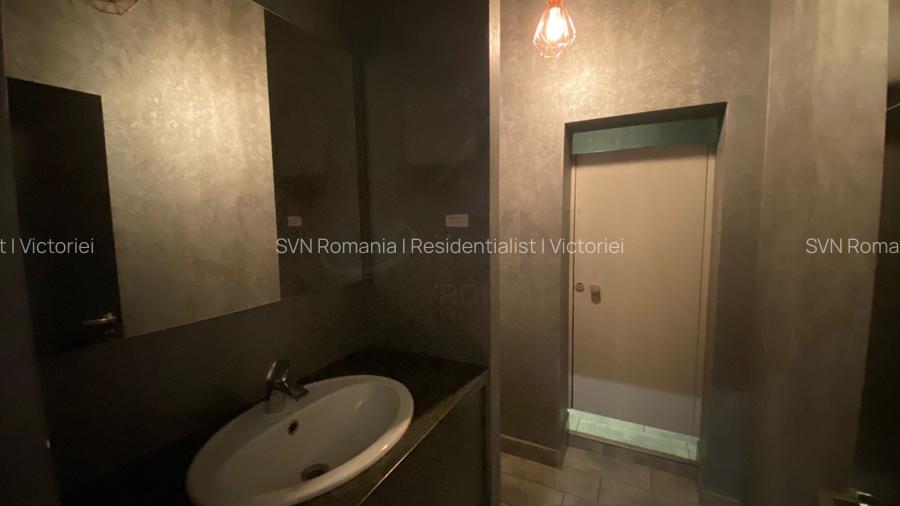 REC3000127 Spatiu Comercial cu vitrina la bulevard 300 mp Mihalache - 14