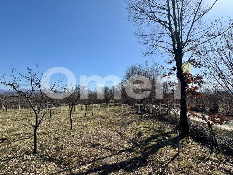 Teren intravilan | Berința | 5800 mp - 3