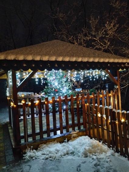 Vand casa in Lugojel  - 12