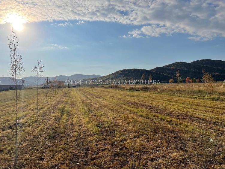 Vanzare teren intravilan 3000 mp, deschidere 28 m cu utilități Măgureni, Prahova - 4