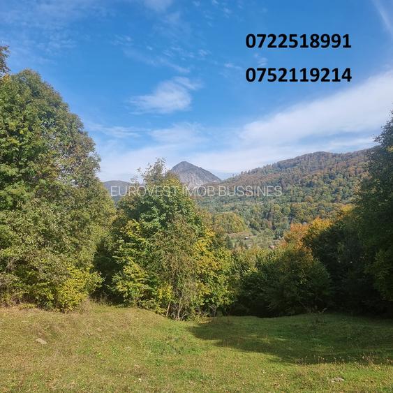 Teren deosebit, la munte, Dragoslavele, Rucar, Arges, doar 6 euro/mp! - 4