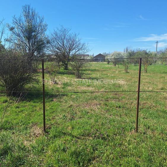 Dragomiresti- Vale, str Nucilor, teren intravilan 2.262mp. - 10