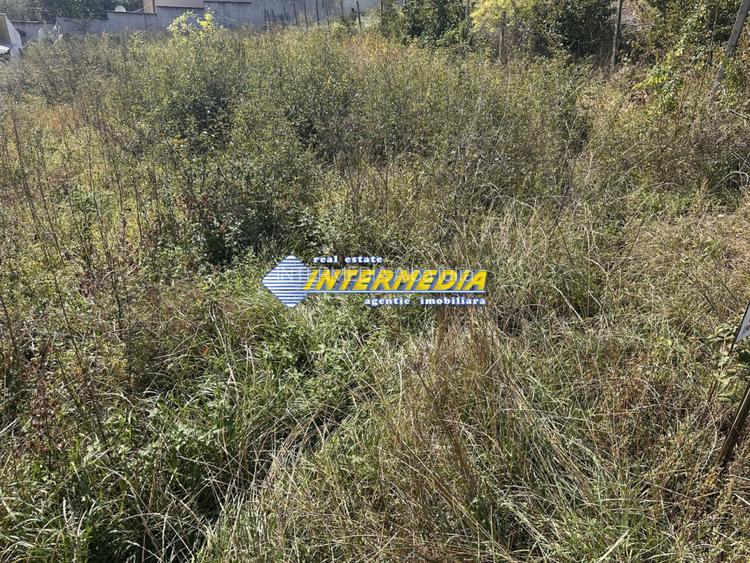 Teren intravilan I de vanzare I in Cetate I zona superba I 500 mp I - 4