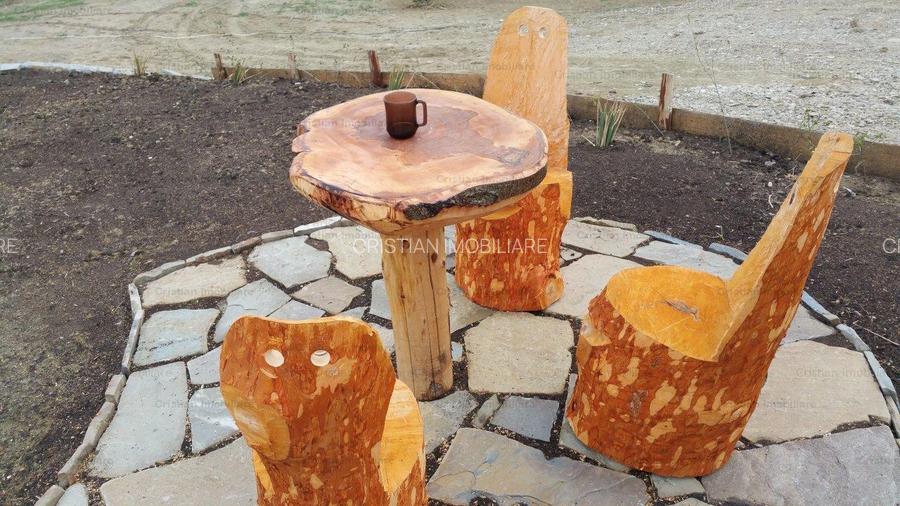 RATE Pensiune Piscina Superba***pe mal Lac Mocearu  70km de Buzau - 65