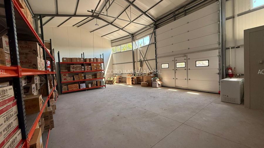 Zona industriala Hala Noua,ideala depozitare zona logistica. - 8