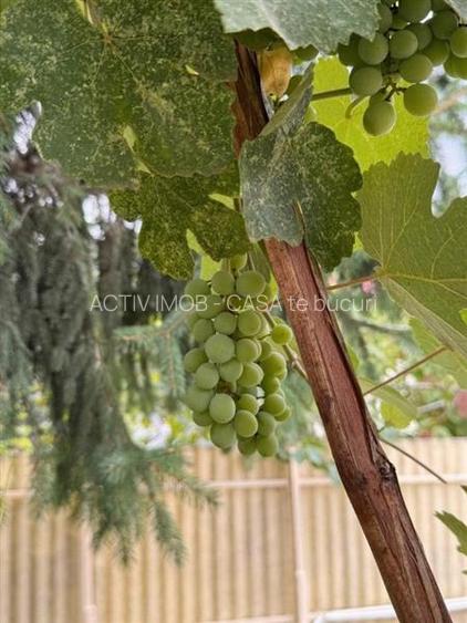 Casa Cocheta, 3 Camere, Curte Proprie, Timpuri Noi-Mihai Bravu, 7 min Metrou - 22