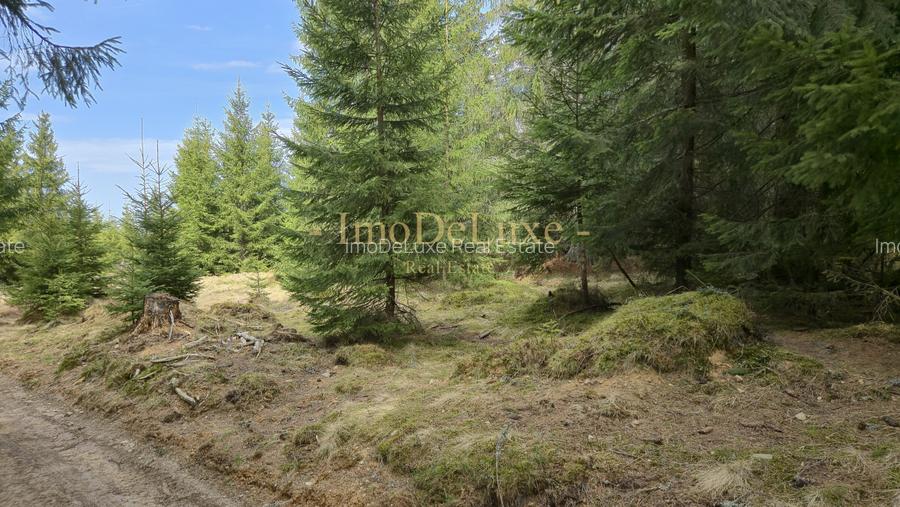 Terenuri cu PUZ, 700 - 1000+ mp, in Marisel, la 400 m de partia de Ski - 11