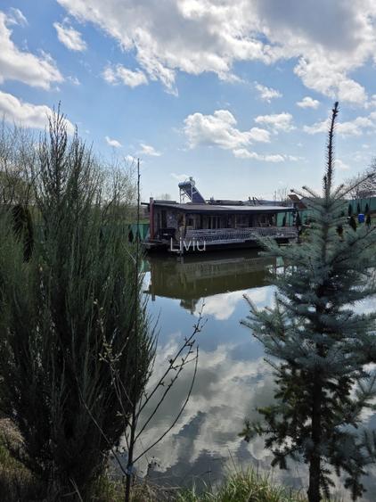 Vând teren cu iaz și livadă de nuci – Ilișești, aproape de Suceava - 11