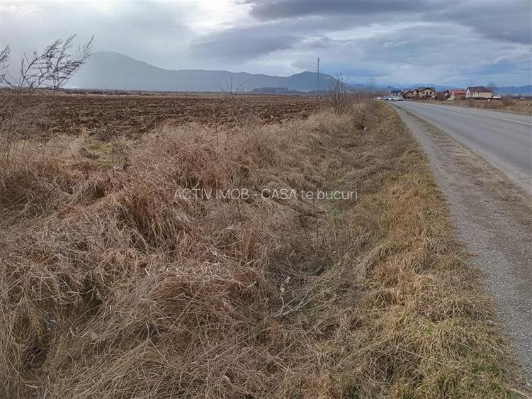 Teren 9000 mp Sacele Izvor, front 356 m la DJ 103A - 2