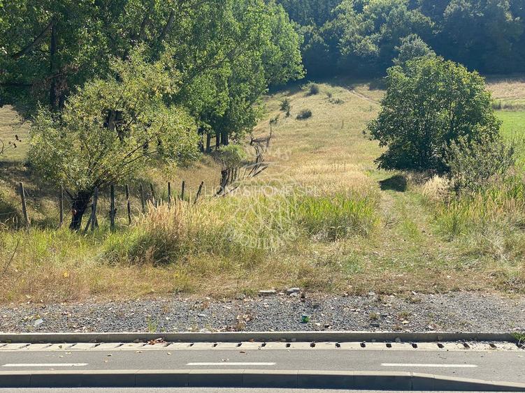 Teren intravilan 2600 mp - pretabil casa/investitie-Zona Aerodrom - 6