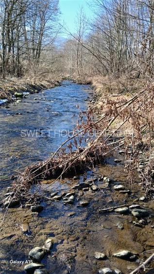 Teren de vanzare la satul de vacanta Dejani - 7