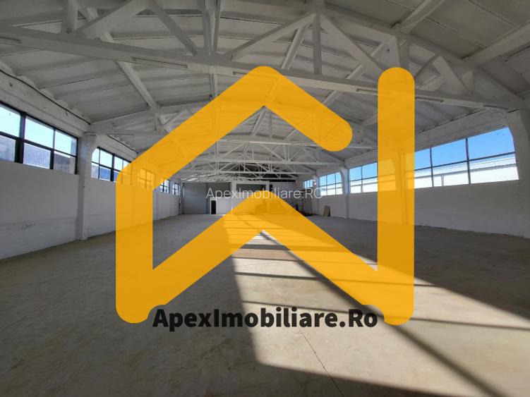 Hala Industriala Xenia – 1800 mp, Acces TIR, Parcare 50 Auto - 5