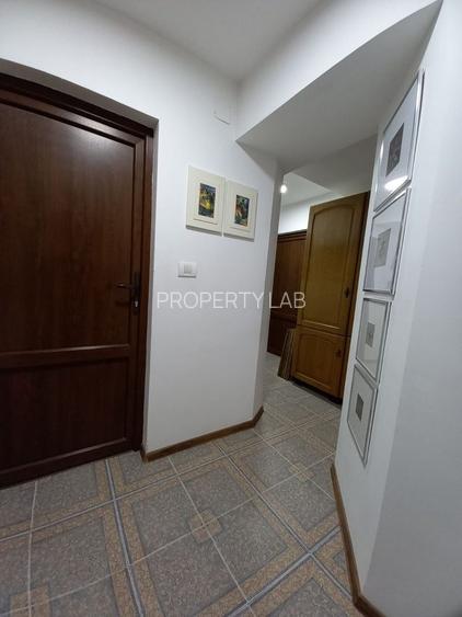 Apartament central la demisol înalt - 12