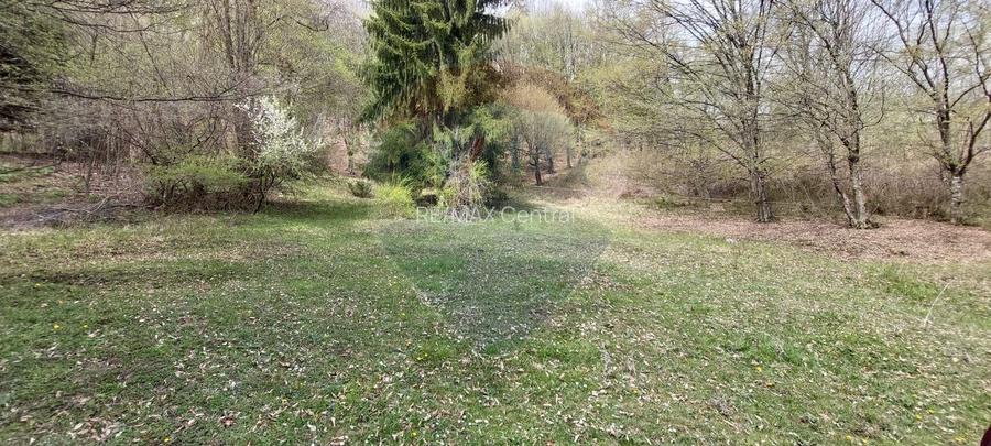 Poienita 2800mp, Covasna, zona hotel Clermont, inconjurat de padure - 8