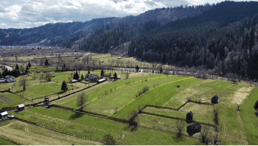 Vindem teren intravilan 8704 mp Vatra Moldovitei - Bucovina - 3