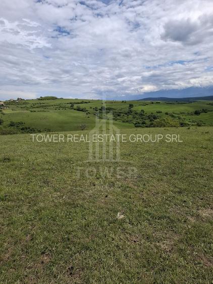 De vanzare, teren 11.500 mp – Dealul Dăii,  Vedere panoramică spre munți și lac - 12