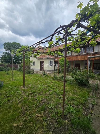 Aproape de Marginimea Sibiului, casa in inima unui parc - 4