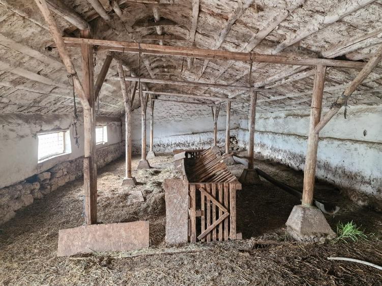 Ferma de vanzare Cochirleni, Constanta - 7