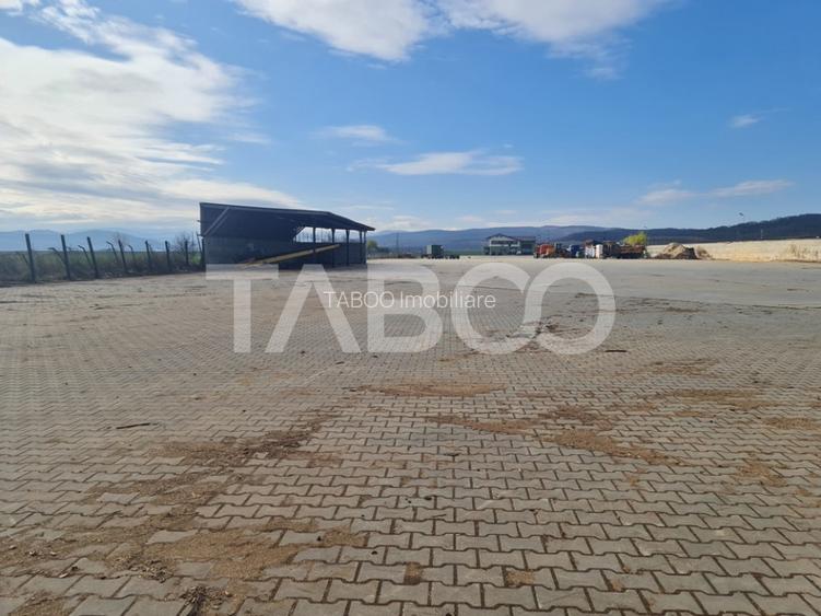 Spatiu industrial de inchiriat in Sebes judetul Alba - 9