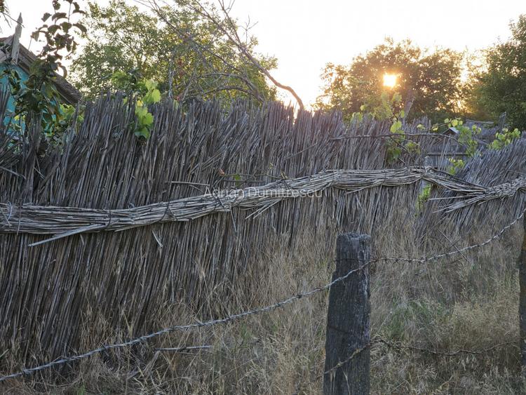 Teren intravilan in Delta Dunarii, C.A. Rosetti - Cardon - 10