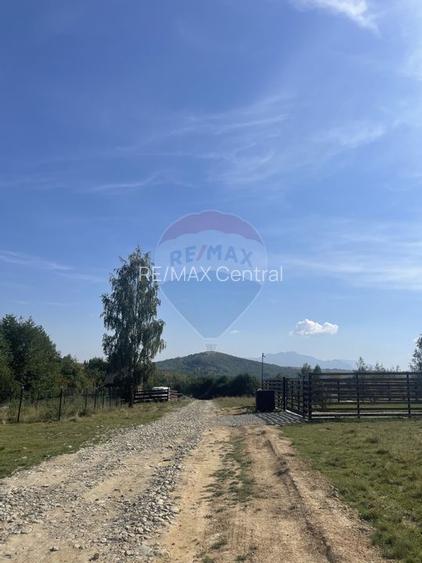 Teren intravilan 850mp Zarnești-Bran, natură-relaxare - 3