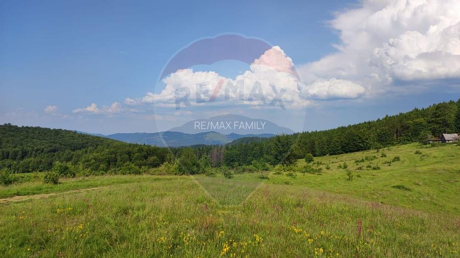 Teren 130000 mp extravilan, faneata si padure, Munteni - Bulz, Negreni - 2