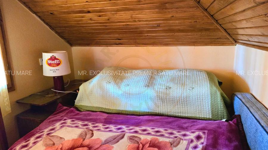 casa 3 camere Viile Satu Mare - 6